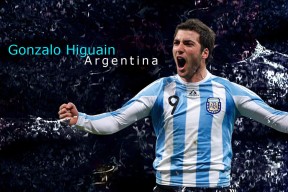 九游官网下载平台特点分析与使用体验