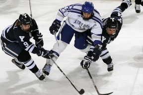 平台介绍使用指南：九游官网下载